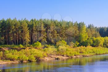 Summer Landscape With River And Forest.