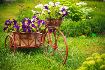 Decorative Model Of An Old Bicycle Equipped With Basket Of Flowers.