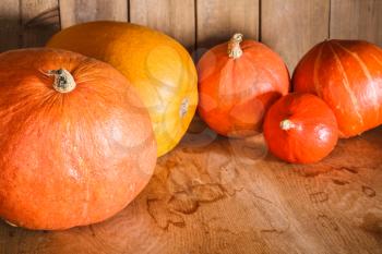 Pumpkins on grunge wooden backdrop, background table. Autumn, halloween, pumpkin
