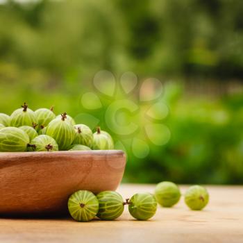 Old Wooden Bowl Filled With Succulent Juicy Fresh Ripe Green Gooseberries On An Old Wooden Table Top. Green Background
