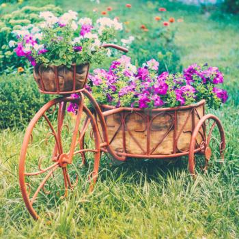 Decorative Model Of An Old Bicycle Equipped With Basket Of Flowers. Toned instant photo