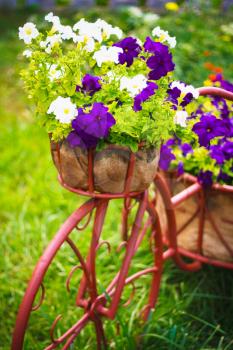 Decorative Model Of An Old Bicycle Equipped With Basket Of Flowers.