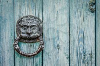 Decorative Gilded Lion Head Door Knob. Lion Head, Brass Door Knocker