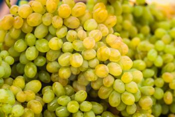 Close Up Of A Large Cluster Of Green Grapes