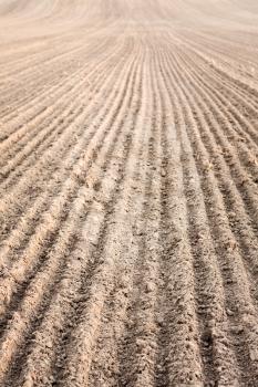 Background Of Newly Plowed Field Ready For New Crops. Ploughed Field In Autumn. Farm, Agricultural Background