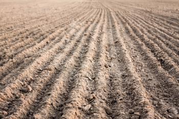 Background Of Newly Plowed Field Ready For New Crops. Ploughed Field In Autumn. Farm, Agricultural Background