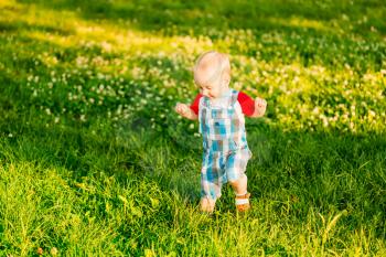 Happy Little Boy Child Running On Summer Green Grass Meadow