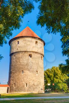 Tallinn, Estonia. Medieval Tower Kiek-in-de-Kok In Park On Hill Toompea