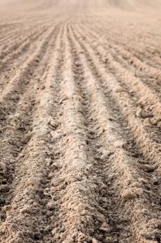 Background of newly plowed field ready for new crops. Ploughed field in autumn. Farm, agricultural background