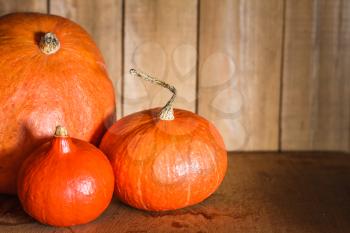 Pumpkins On Grunge Wooden Backdrop, Background Table. Autumn, Halloween, Pumpkin, Copyspace
