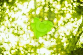 Photo Of Bokeh Lights Out Of Focus Blurred Background Bright Green. Spring Boke. Abstract Summer Texture