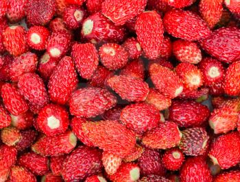 Small Summer Strawberries. Organic Berries Closeup. Ripe Fresh Strawberry Background
