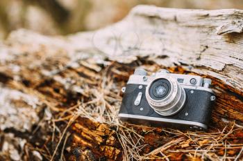 35mm Vintage Old Retro Small-Format Rangefinder Camera On Old Fallen Wood Tree In Forest.