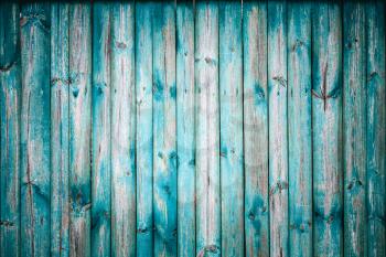Blue Grunge Wooden Texture With Natural Patterns. Background Surface Old Wood Paint Over.