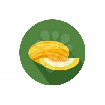 Melon icon with shadow in flat design