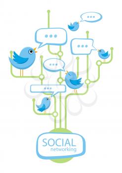 Social media communication network concept. Set of different birds in bubble cartoon design style