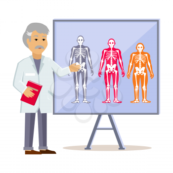 Doctor shows type human body. Ectomorph endomorph and mesomorph, skeleton people, health physique, healthy figure, healthcare human,  structure normal illustration
