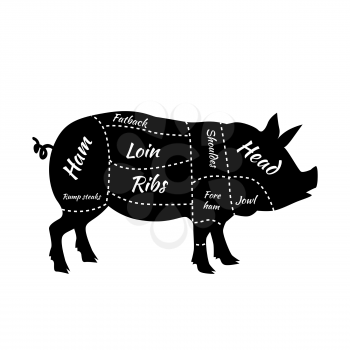 Pork or pig cuts. American US cuts of pork. Barbecue vector illustration. Pork meat cuts. Butcher pork cuts diagram. Butchers selection. Butcher shop