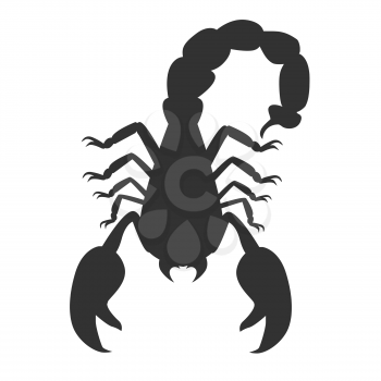 Scorpion animal isolated on white background. Deadly poisonous black scorpion with a sharp tip and strong powerful claws on backdrop. Sign of the zodiac astrological symbol. Vector illustration