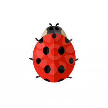 Insect ladybird isolated on white background. Ladybug small insect with a mottled pattern on wings, black circles on a red backdrop. Ladybird sign drawing in flat design. Vector illustration