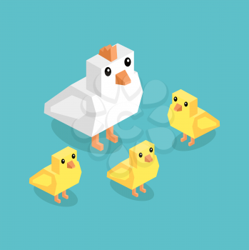 Isometric white chicken with yellow chick. Isometric white 3d chicken with yellow chickens isolated on background, cute a little young farm bird fluffy, adorable small bird poultry vector illustration