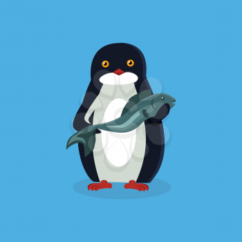 Animal penguin design flat. Bird penguin vector, cartoon polar animal winter isolated, wild penguin character with a fish illustration