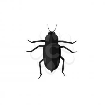 Protaetia may bug insect design flat. Small insect chafer with black legs and antennae and black wings folding in the shell. Wildlife creating isolation on white background. Vector illustration