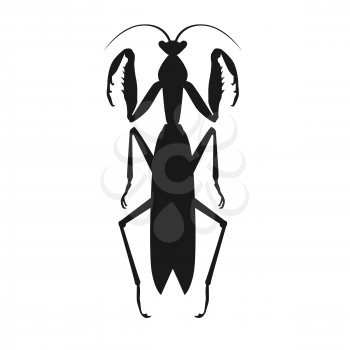 Nature black cartoon locust and cute flat grasshopper icon. Wild creature antenna invertebrate cute grasshopper agricultural zoo large green locust nature insect flat vector illustration