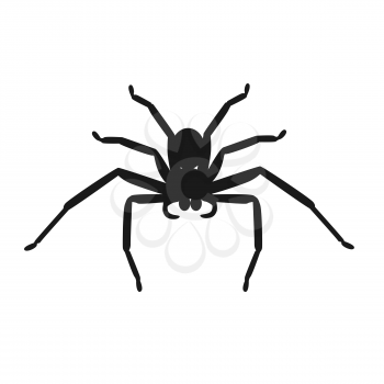 Spider icon logo isolated on white background