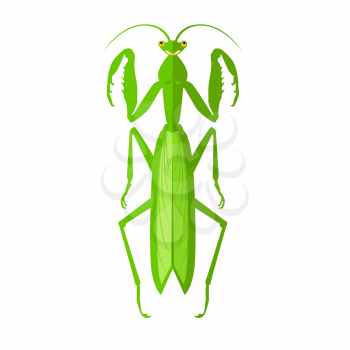 Nature green cartoon locust and cute flat grasshopper icon. Wild creature antenna invertebrate cute grasshopper agricultural zoo large green locust nature insect flat vector illustration