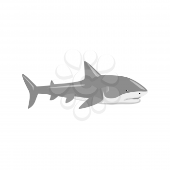 Marine predator shark design flat. Dangerous predator shark with fins and tail and sharp teeth. Aggressive fish creation of nature in black color living in the ocean or the sea. Vector illustration