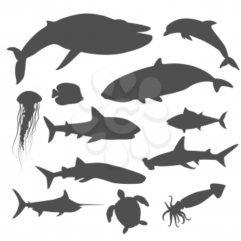 Marine fauna set of aquatic animals. Aquatic fauna, ocean or sea fish wildlife fauna, underwater aquarium exotic life fauna, dolphin water wild vector illustration isolated on white