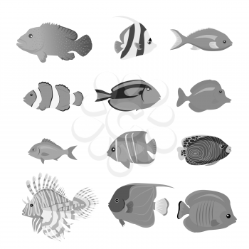 Set of sea fish color design flat. Ocean fish animal, nature cartoon wildlife aquarium, underwater life sea fish, exotic drawing marine fauna sea fish vector illustration