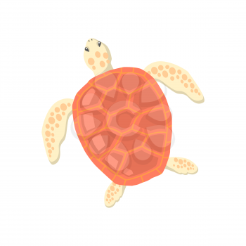 Turtle isolated on white background design flat. Tortoise with a big red carapace. The head and fins are covered with turtles speckled pattern. Creature  wildlife of wold world. Vector illustration