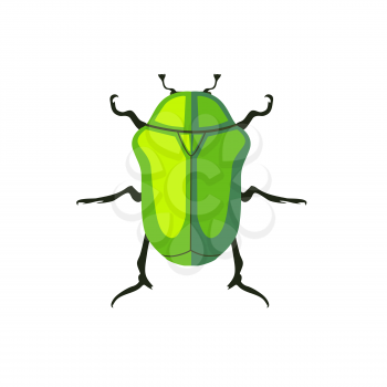 Protaetia may bug insect design flat. Small insect chafer with black legs and antennae and bright green wings folding in the shell. Wildlife creating isolation on white background. Vector illustration