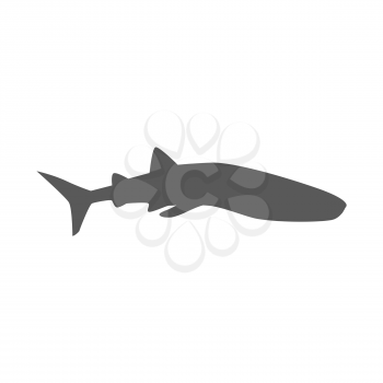 Marine predator shark design flat. Dangerous predator shark with fins and tail and sharp teeth. Aggressive fish tiger shark in black color living in the ocean or the sea. Vector illustration