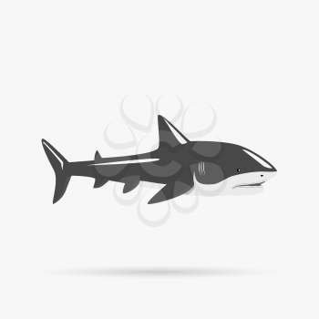 Marine predator shark design flat. Dangerous predator shark with fins and tail and sharp teeth. Aggressive fish creation of nature in black color living in the ocean or the sea. Vector illustration