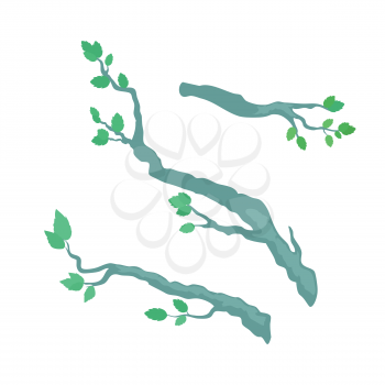 Tree brunches vector. Floral template in flat design. Illustration for nature concepts, trees compositions, pet shop advertising. Tree brunches with leaves in different positions isolated on white.