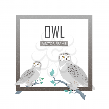 Snowy owls vector frame. Predatory birds wildlife concept in flat design. North fauna illustration for ,encyclopedia, childrens books illustrating. Beautiful owls birds seating isolated on white.