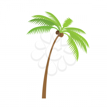 Palm tree silhouettes with coconut. Vector illustration isolated on white background