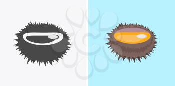 Sea urchin vector pattern. Flat style design. Seafood illustration for packaging, logos, and patterns. Healthy eating marine products concept. Cooked sea urchin on blue background.