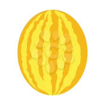 Melon or yellow watermelon vector in flat style design. Fruit illustration for conceptual banners, icons, mobile app pictogram, infographic, and logotype element. Isolated on white background.     