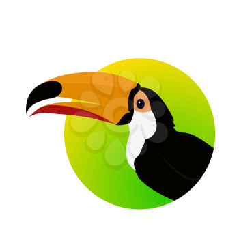 Toucan vector. Animals of rainy Amazonian forests in flat design. Fauna of South America. Wild life in tropics concept for posters, childrens books illustrating. Beautiful toucan isolated on white.