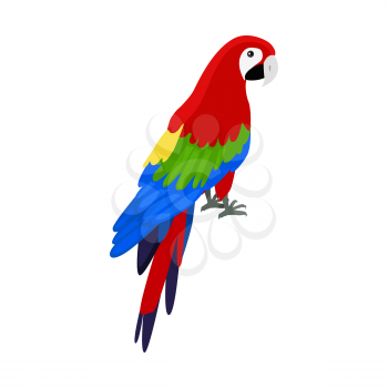 Ara parrot vector. Birds of Amazonian forests in flat design illustration. Fauna of South America. Beautiful Ara parrot on branch posters, childrens books illustrating. Isolated on white.