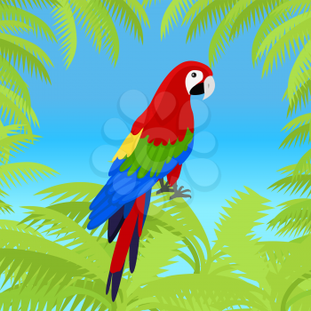Ara parrot vector frame. Birds of Amazonian forests in flat design illustration. Fauna of South America. Beautiful Ara parrots for icons, posters, childrens books illustrating. Isolated on white.