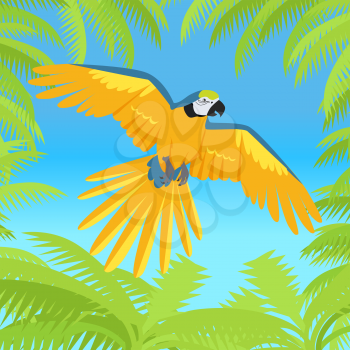 Ara parrot vector. Birds of Amazonian forests in flat design illustration. Fauna of South America. Flying colorful Ara parrot in jungle for posters, childrens books illustrating. Isolated on white.