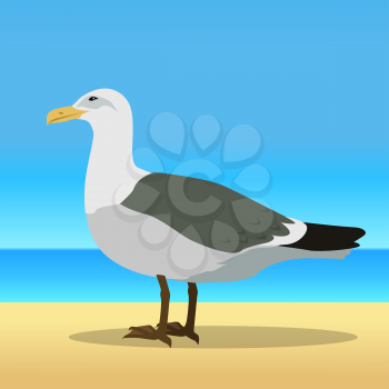 Gull vector. Sea bird wildlife in flat style design. Illustration for prints, vacation advertising, childrens books illustrating. Beautiful Seagull bird seating on sandy sunny beach.