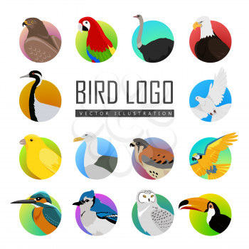 Big set of birds vector logo. Collection of fauna icons for illustrating animal theme. Parrot, ara pigeon hawk eagle toucan, ostrich, kingfisher, gull, owl, jay, falcon, crane, isolated on white.