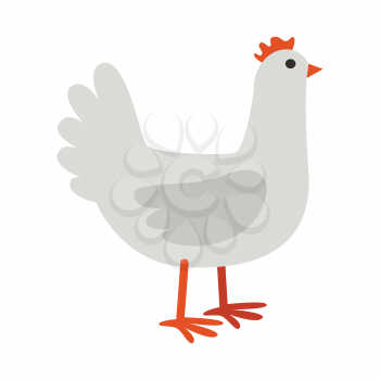 Hen illustration. Vector in flat style design. Domestic animal. Country inhabitants concept. Picture for farming, animal husbandry, meat and feather production  companies. Isolated on white background
