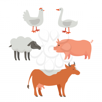 Set of domestic animals illustrations. Vector in flat style design. Country inhabitants concept. Picture for farming, animal husbandry, milk, meat and wool production companies. Isolated on white. 